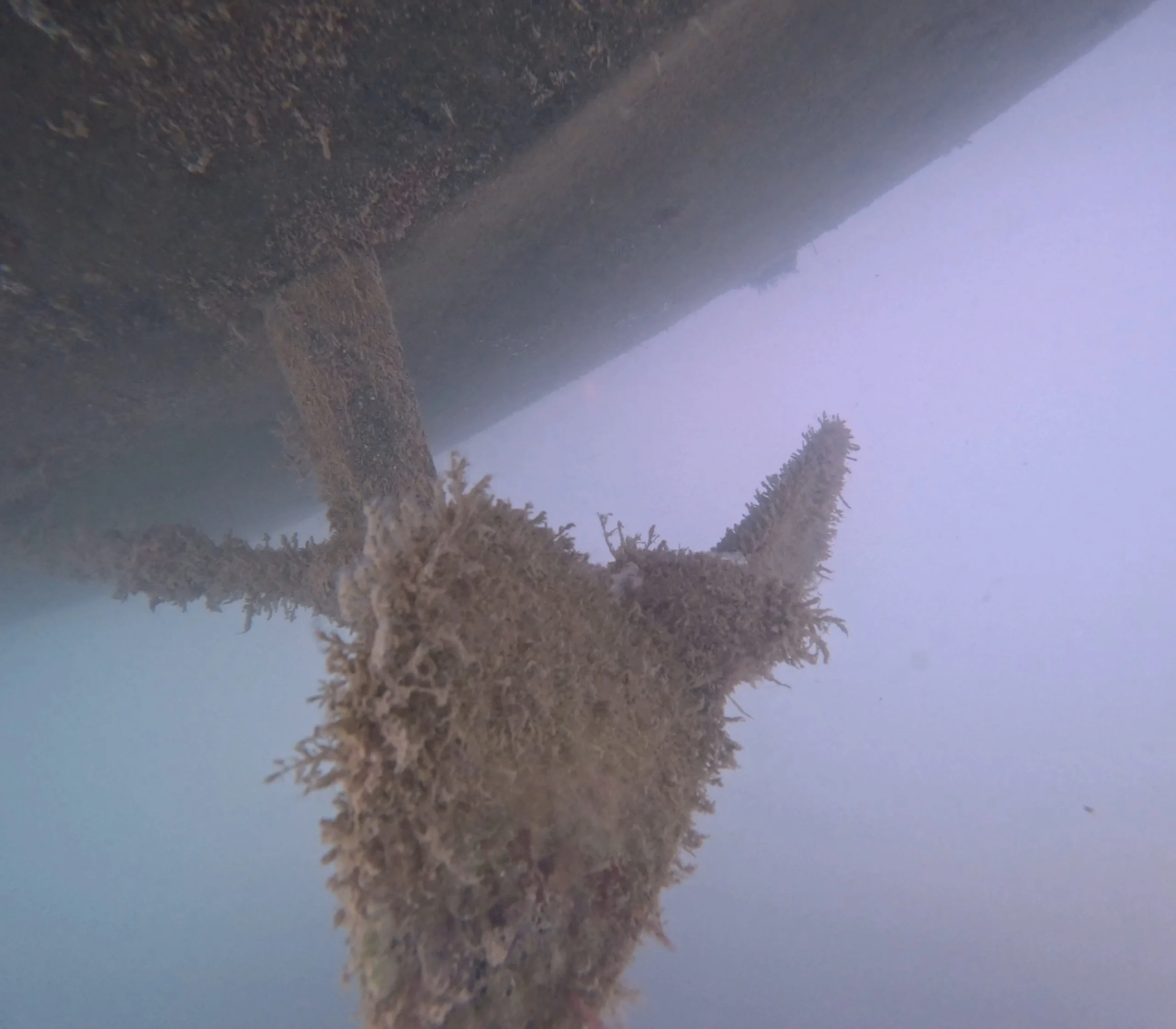 Vessel hull before cleaning