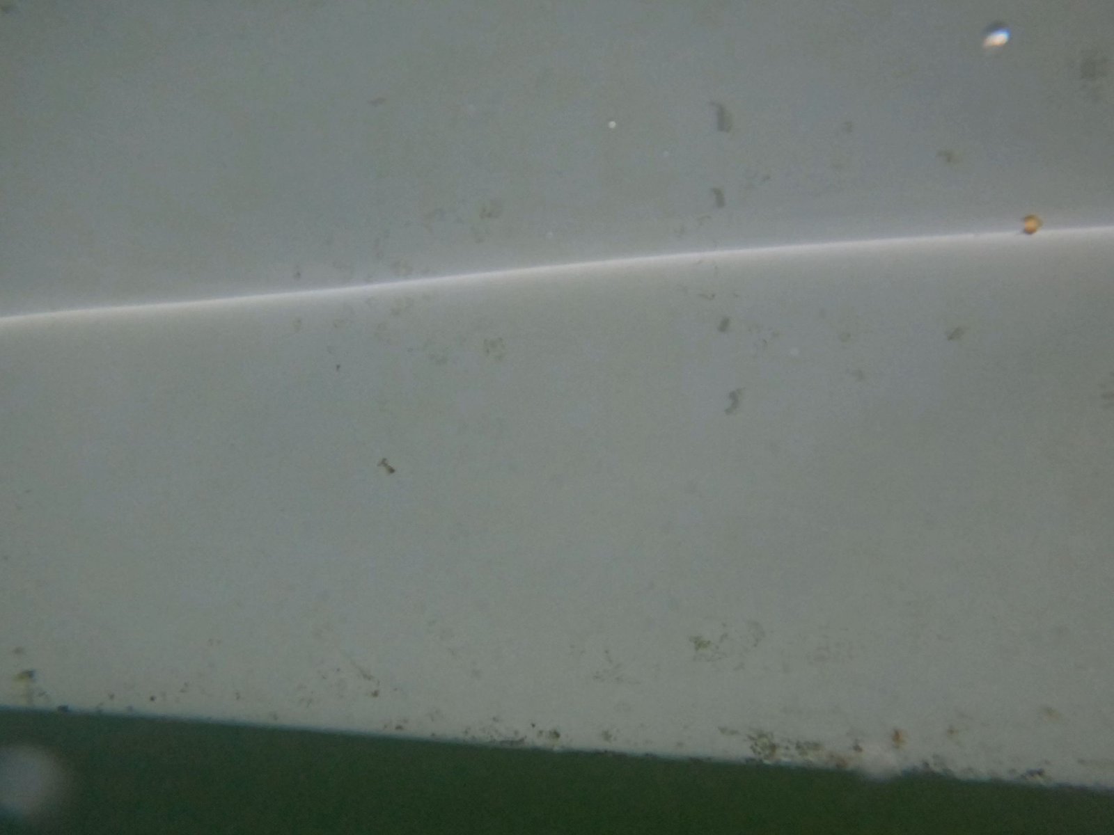 Hull of a Boat after Cavitation Cleaning